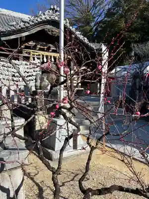 岡崎天満宮(愛知県)