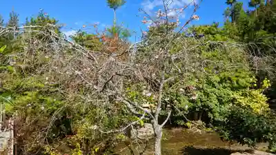 実光院(京都府)