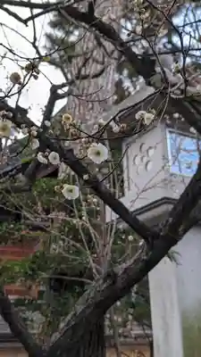 北野天満宮(京都府)