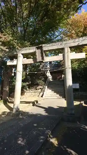 葛飾神社の鳥居