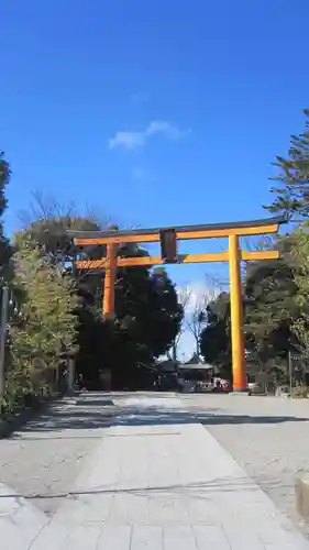 川越氷川神社(埼玉県)