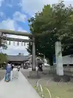 浅草神社の鳥居