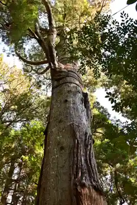 高千穂神社(宮崎県)