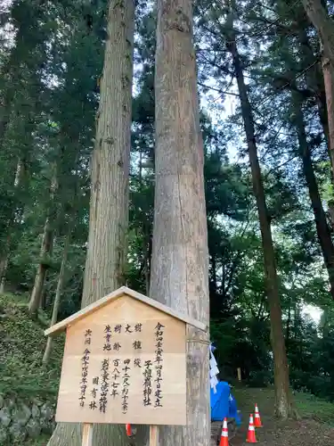 子檀嶺神社(長野県)