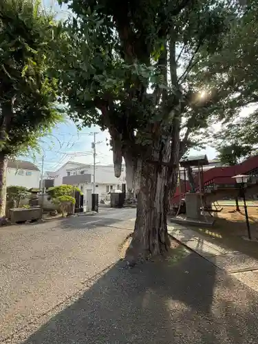 寿徳寺(東京都)