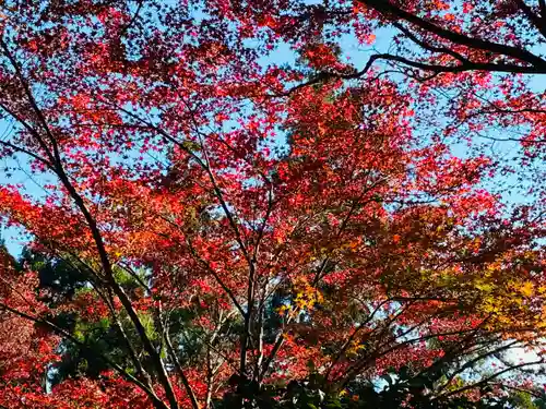 鶴林寺(徳島県)