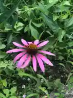 木舟山 順教寺の庭園