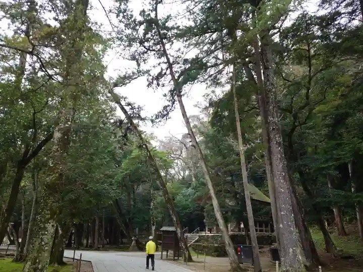 出雲大社(島根県)