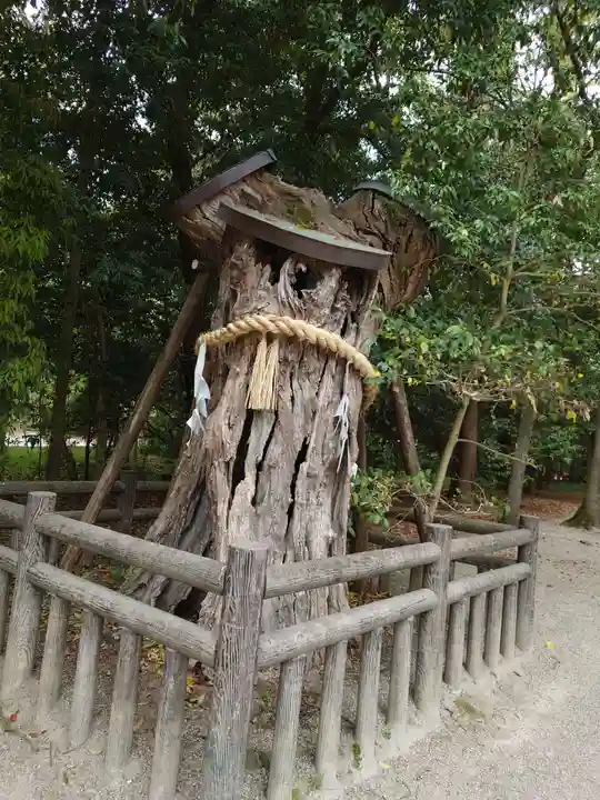 賀茂御祖神社(下鴨神社)の自然