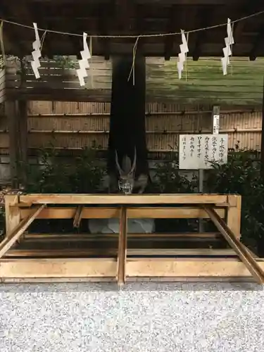 東京大神宮の手水舎