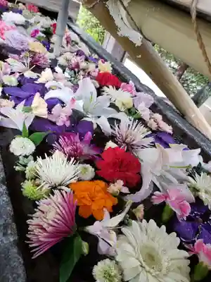 鳩森八幡神社の手水舎
