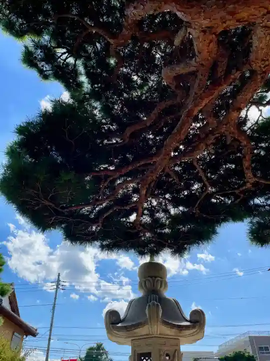 宝蔵院(千葉県)