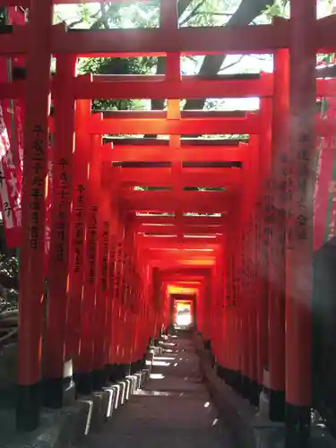 日枝神社の鳥居