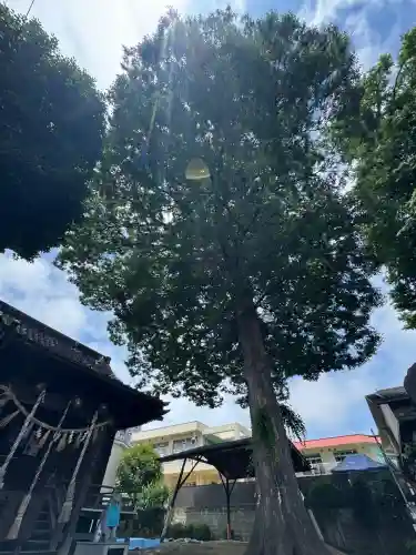 宮城野八幡神社(宮城県)