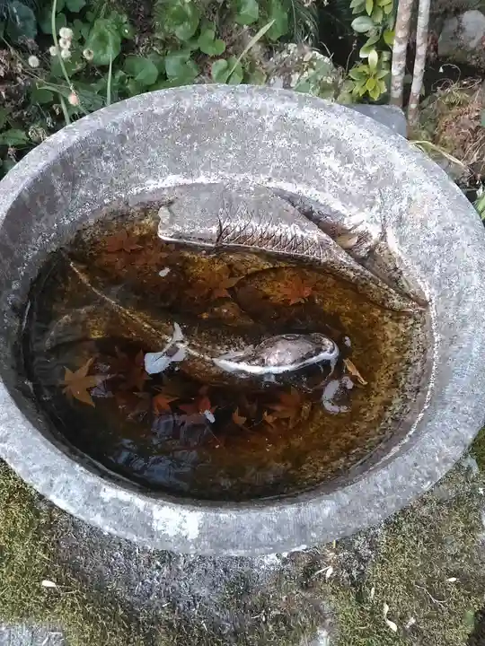 清水寺の動物
