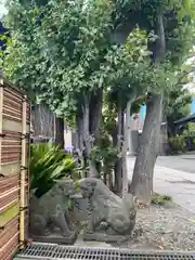 麻布氷川神社(東京都)