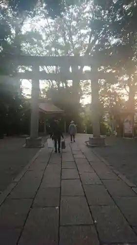 谷保天満宮の鳥居