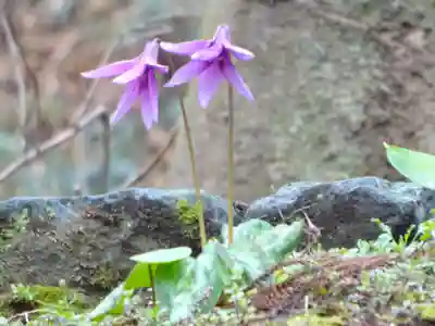 常昌院(神奈川県)