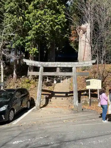 戸隠神社火之御子社の鳥居