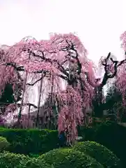 慈雲寺の自然