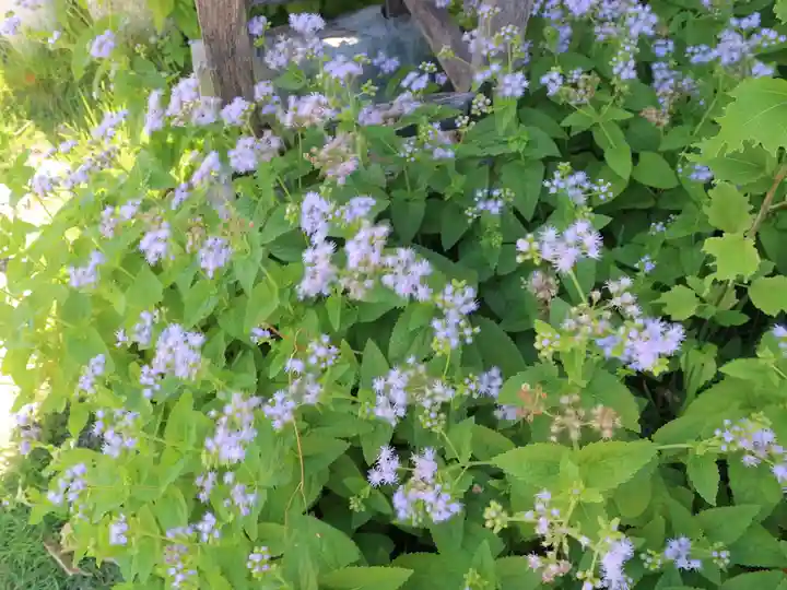 如願寺(大阪府)