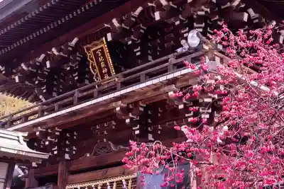 宮地嶽神社(福岡県)