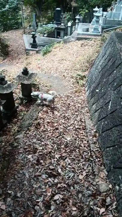 妙林寺(山梨県)