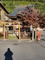 黒猫大明神(長野県)