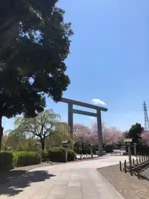 櫻木神社の鳥居