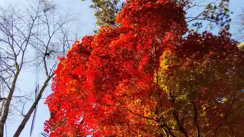 新得神社の自然