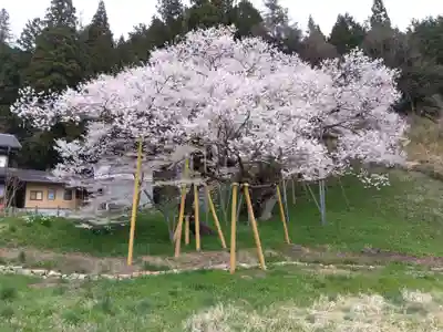 大幢寺(岐阜県)