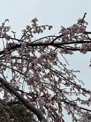 神明社(宮城県)