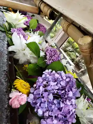 鳩森八幡神社の手水舎