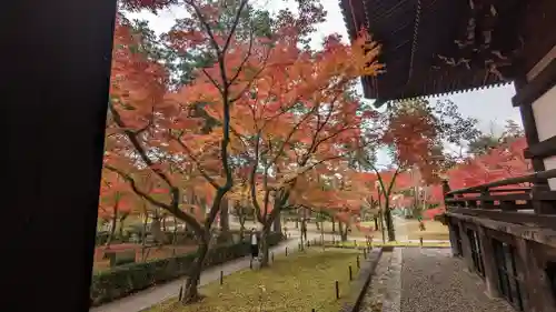真正極楽寺（真如堂）(京都府)