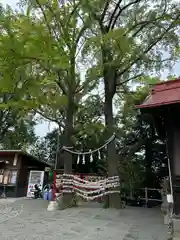 多摩川浅間神社(東京都)