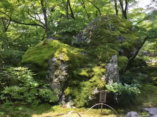 宝厳院の庭園