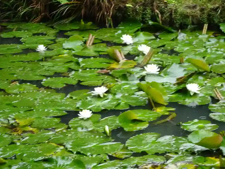 天台宗 長窪山 正覚寺の自然