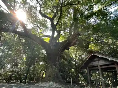 月夜見宮（豊受大神宮別宮）の{uncategorized: "未分類", other: "その他", undefined: "問題あり", building: "その他建物", grave: "お墓", sacred_gate: "鳥居", guardian: "狛犬", statue: "像", buddha: "仏像", history: "歴史", nature: "自然", garden: "庭園", animal: "動物", pagoda: "塔", temizu: "手水舎", mountain_gate: "山門・神門", sanctuary: "本殿・本堂", subordinate: "末社・摂社", art: "芸術", scenery: "景色", jizo: "地蔵", ema: "絵馬", goshuin: "御朱印", omikuji: "おみくじ", items: "授与品その他", amulet: "お守り", goshuincho: "御朱印帳", eats: "食事", festival: "お祭り", votive_dance: "神楽", shichigosan: "七五三参", wedding: "結婚式", experience: "体験その他", initially: "初詣", around: "周辺", anti_infection: "感染症対策"}