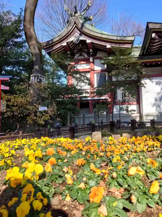 川越八幡宮(埼玉県)
