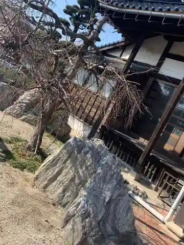 安養寺の本殿・本堂