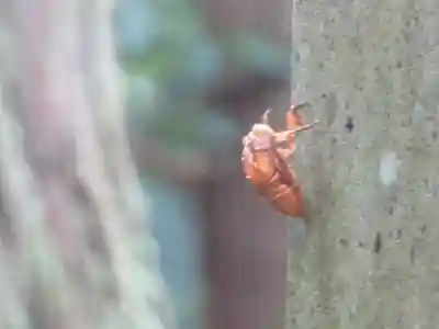 那谷寺(石川県)