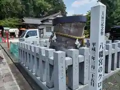 下野國一社八幡宮(栃木県)