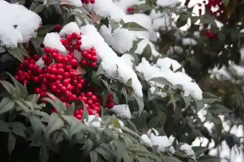 笠森稲荷神社(東京都)