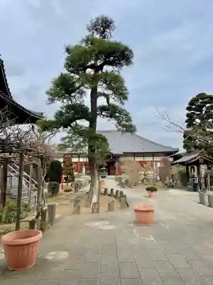 遍照院(埼玉県)