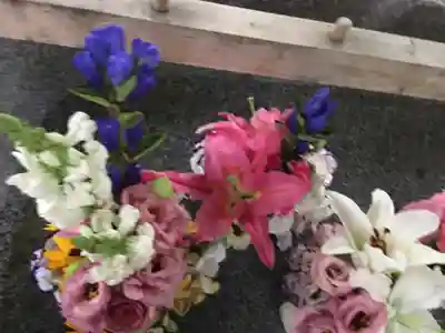 彌彦神社　(伊夜日子神社)の手水舎