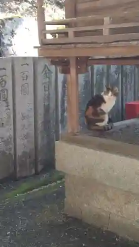 最上稲荷山妙教寺(岡山県)