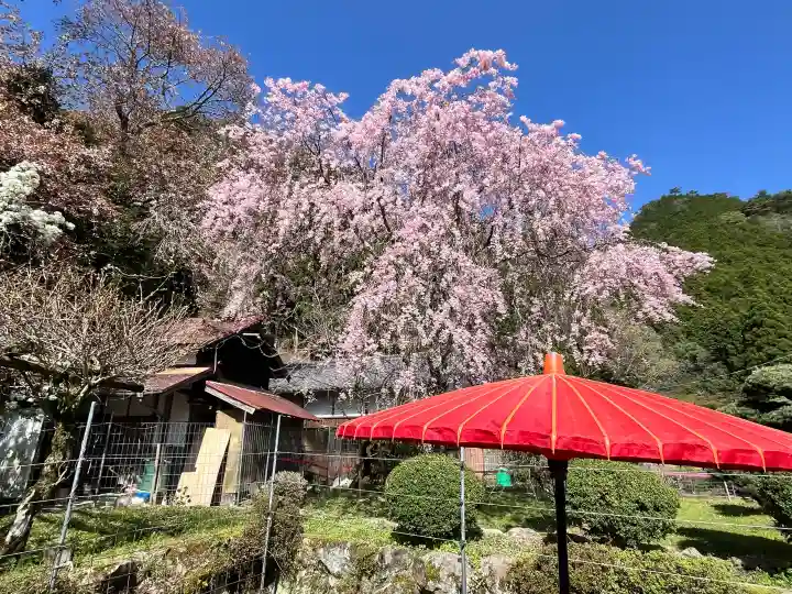 仏隆寺の{uncategorized: "未分類", other: "その他", undefined: "問題あり", building: "その他建物", grave: "お墓", sacred_gate: "鳥居", guardian: "狛犬", statue: "像", buddha: "仏像", history: "歴史", nature: "自然", garden: "庭園", animal: "動物", pagoda: "塔", temizu: "手水舎", mountain_gate: "山門・神門", sanctuary: "本殿・本堂", subordinate: "末社・摂社", art: "芸術", scenery: "景色", jizo: "地蔵", ema: "絵馬", goshuin: "御朱印", omikuji: "おみくじ", items: "授与品その他", amulet: "お守り", goshuincho: "御朱印帳", eats: "食事", festival: "お祭り", votive_dance: "神楽", shichigosan: "七五三参", wedding: "結婚式", experience: "体験その他", initially: "初詣", around: "周辺", anti_infection: "感染症対策"}