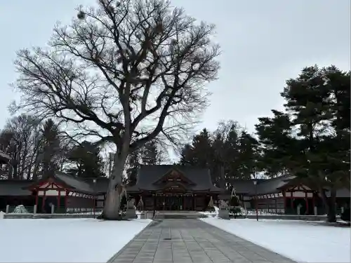 北海道護國神社(北海道)