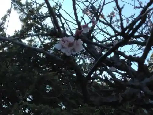長昌寺(神奈川県)