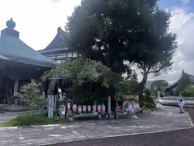 種間寺(高知県)